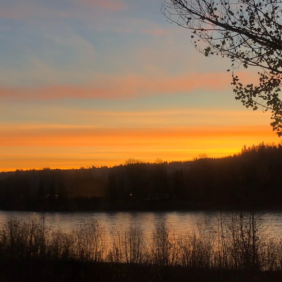 Meet your Posher, Payton - Picture 1 of 1